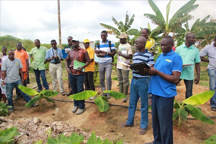 Agriculture : Le Monitoring Tour présente l’expérience du CNS-Plantain aux pays du PPAAO/WAAPP